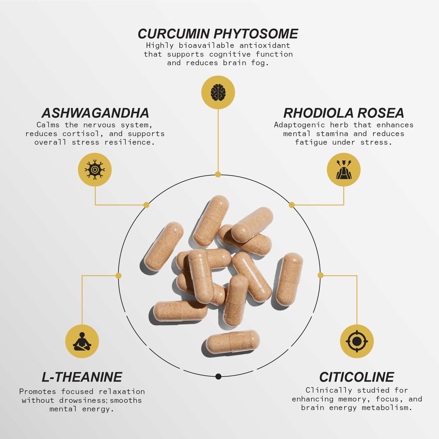 Curcumin Phytosome