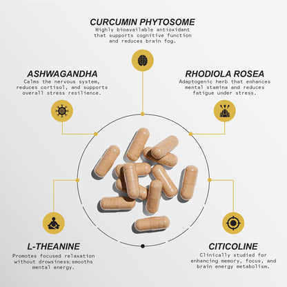 Curcumin Phytosome